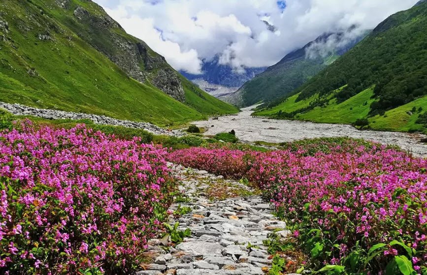 Valley of Flowers, Uttarakhand, India